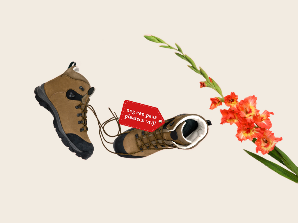 Vraag een Vierdaagse Massage aan bij Chill & Refill Nijmegen